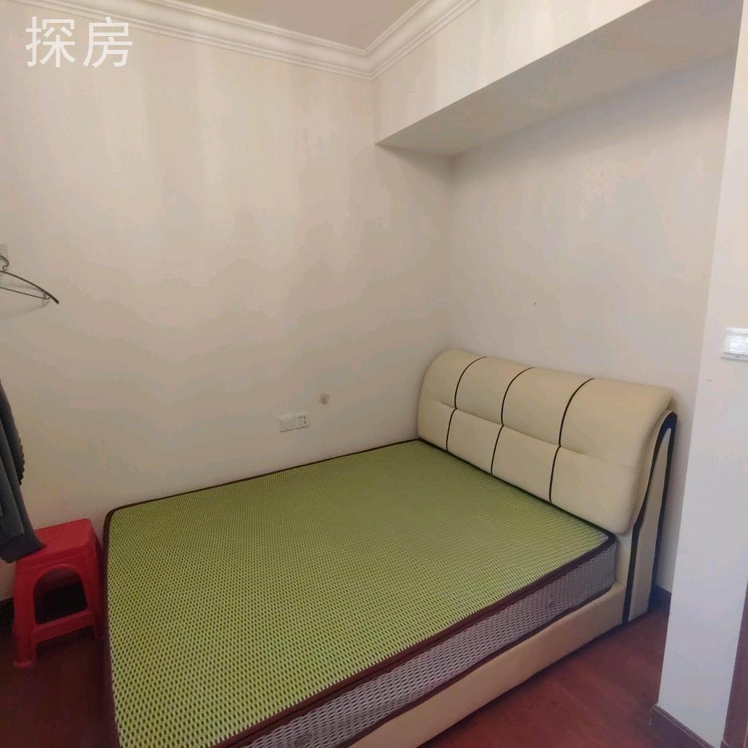 实拍图